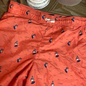 Big Boys Surfer Shark Swim Trunks